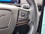 2021 Mustang Mach-E Thumbnail 29