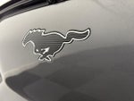 2023 Mustang Mach-E Thumbnail 14