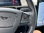 2025 Mustang Mach-E Thumbnail 12
