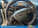 2021 Mustang Mach-E Thumbnail 10