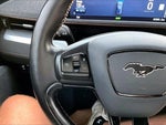2021 Mustang Mach-E Thumbnail 22
