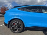 2021 Mustang Mach-E Thumbnail 8