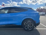 2021 Mustang Mach-E Thumbnail 14
