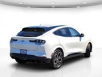 2021 Mustang Mach-E Thumbnail 10