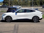 2021 Mustang Mach-E Thumbnail 13