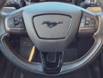 2022 Mustang Mach-E Thumbnail 14