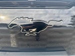 2023 Mustang Mach-E Thumbnail 37