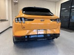 2021 Mustang Mach-E Thumbnail 19