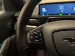 2021 Mustang Mach-E Thumbnail 38