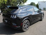 2023 Mustang Mach-E Thumbnail 13