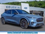 2023 Mustang Mach-E Thumbnail 1