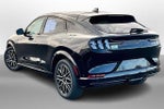 2022 Mustang Mach-E Thumbnail 10