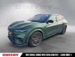 2025 Mustang Mach-E Thumbnail 1