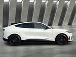 2023 Mustang Mach-E Thumbnail 13