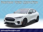 2023 Mustang Mach-E Thumbnail 1