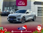 2024 Mustang Mach-E Thumbnail 1