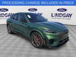2025 Mustang Mach-E Thumbnail 1