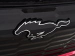 2025 Mustang Mach-E Thumbnail 21