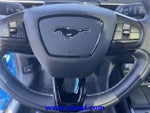 2021 Mustang Mach-E Thumbnail 12