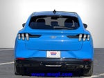 2021 Mustang Mach-E Thumbnail 27