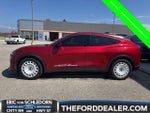 2024 Mustang Mach-E Thumbnail 6