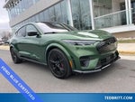 2025 Mustang Mach-E Thumbnail 1