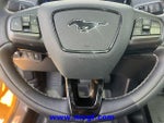 2022 Mustang Mach-E Thumbnail 12