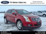 2013 SRX Thumbnail 1