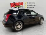 2013 SRX Thumbnail 6