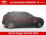 2013 SRX Thumbnail 2