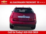 2013 SRX Thumbnail 6