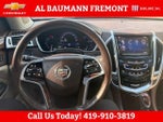 2013 SRX Thumbnail 13