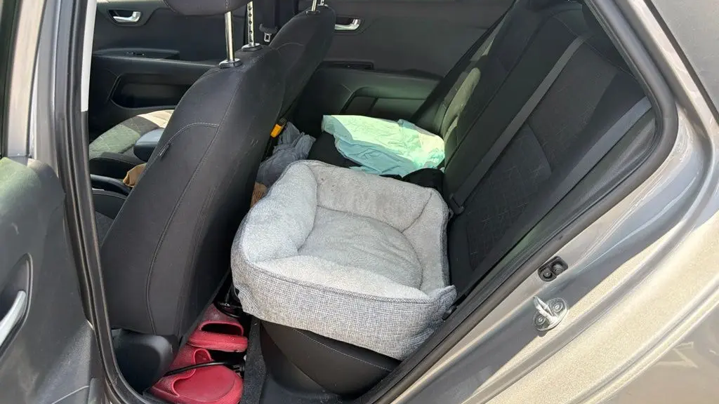 2023 Kia Rio S
