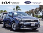 2019 Forte Thumbnail 1