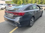 2019 Forte Thumbnail 4