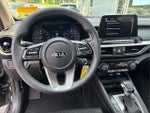 2019 Forte Thumbnail 7