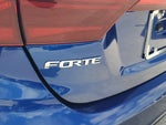 2019 Forte Thumbnail 10