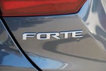 2024 Forte Thumbnail 9