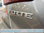 2024 Forte Thumbnail 25
