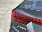 2019 Forte Thumbnail 9