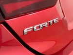 2019 Forte Thumbnail 7