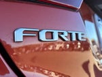 2023 Forte Thumbnail 17