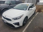 2019 Forte Thumbnail 3