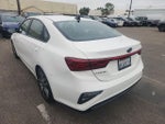 2019 Forte Thumbnail 10