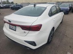 2019 Forte Thumbnail 12
