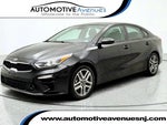2019 Forte Thumbnail 1