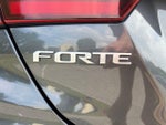 2022 Forte Thumbnail 40
