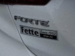 2023 Forte Thumbnail 29