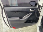 2017 Forte Thumbnail 10