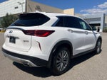 2023 QX50 Thumbnail 4